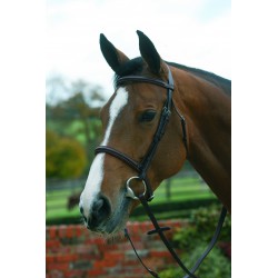 Mark Todd Plain Raised Bridle With Cavesson Noseband