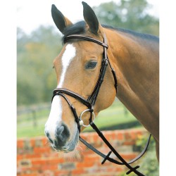 Mark Todd Square Raised Padded Bridle With Flash Noseband