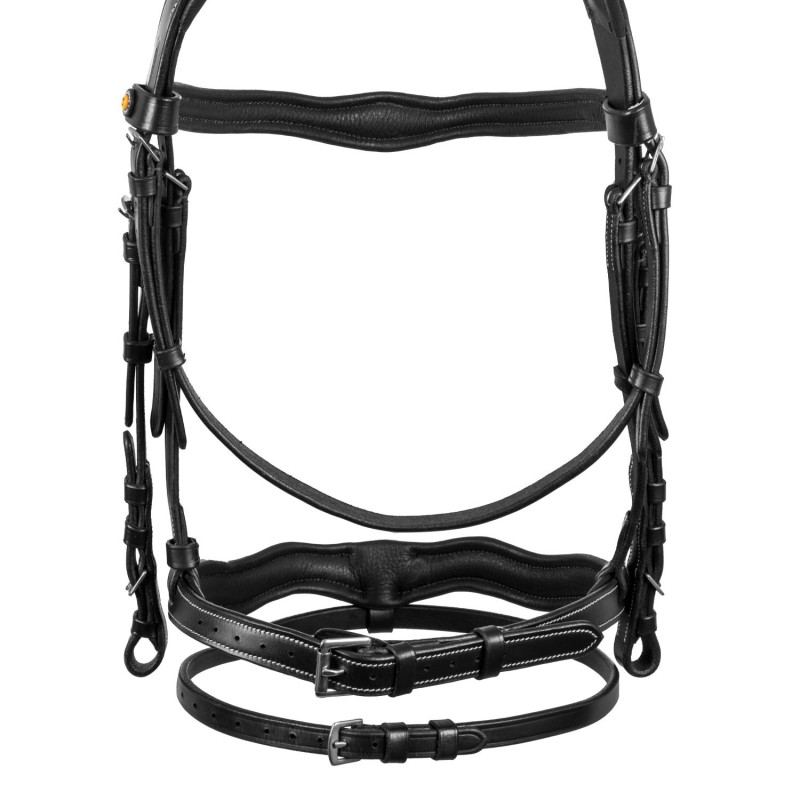 Equestro Contrast Anatomic Black
