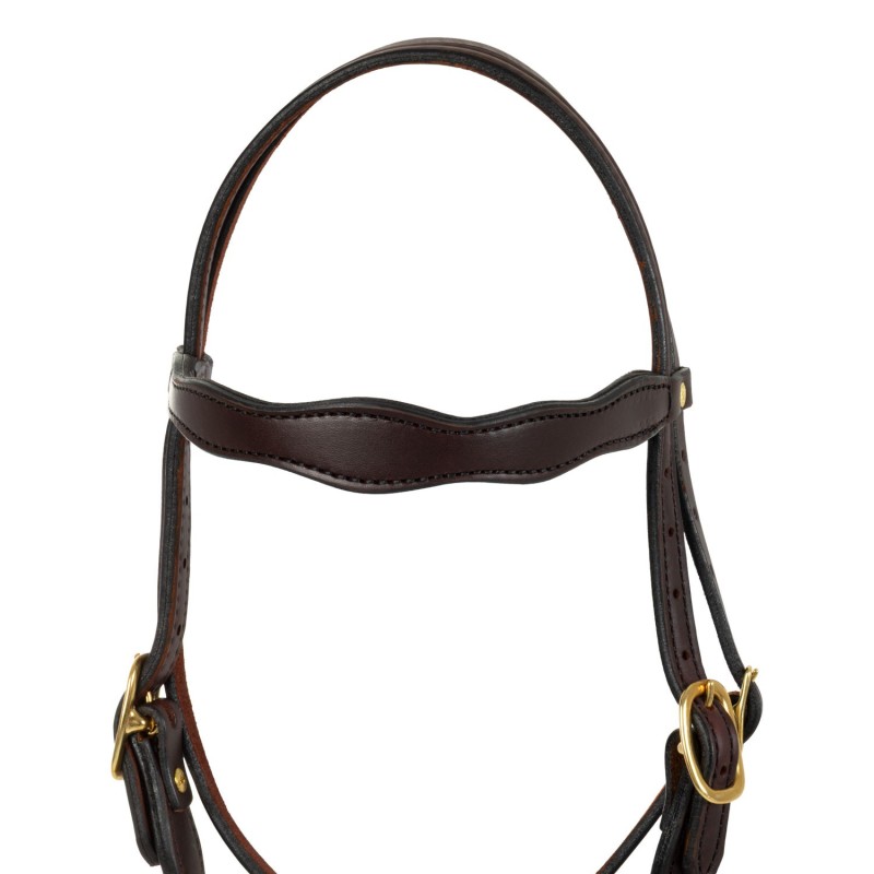 Platinum Pro Copper Dark Oil