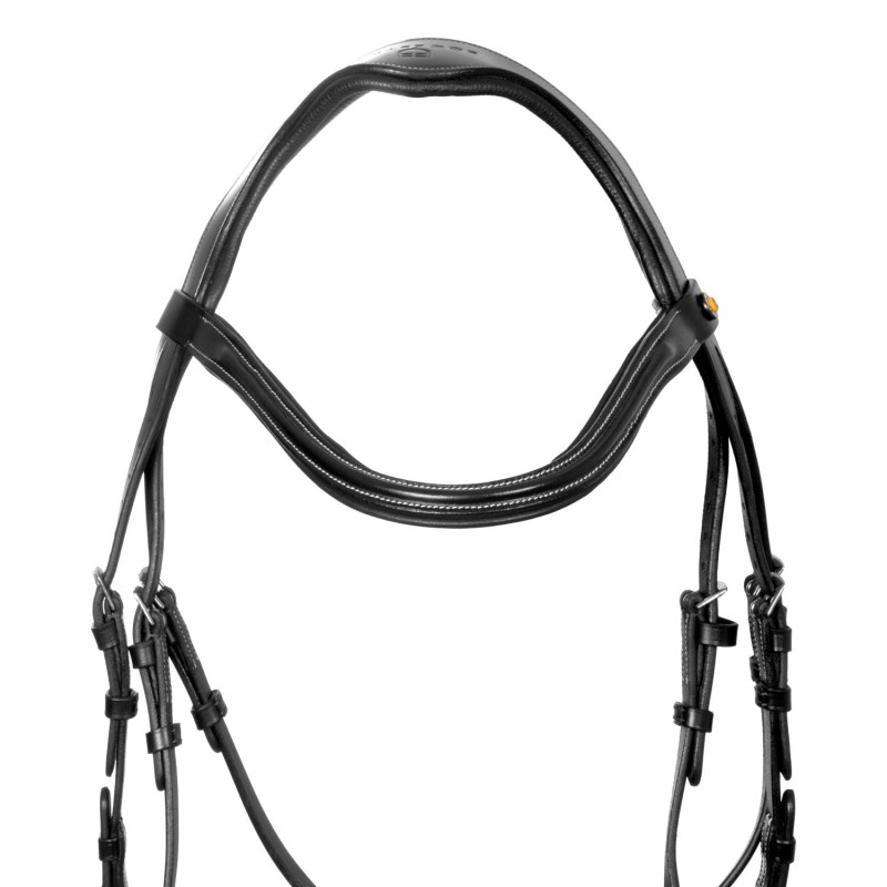 Equestro Anatomical  Black
