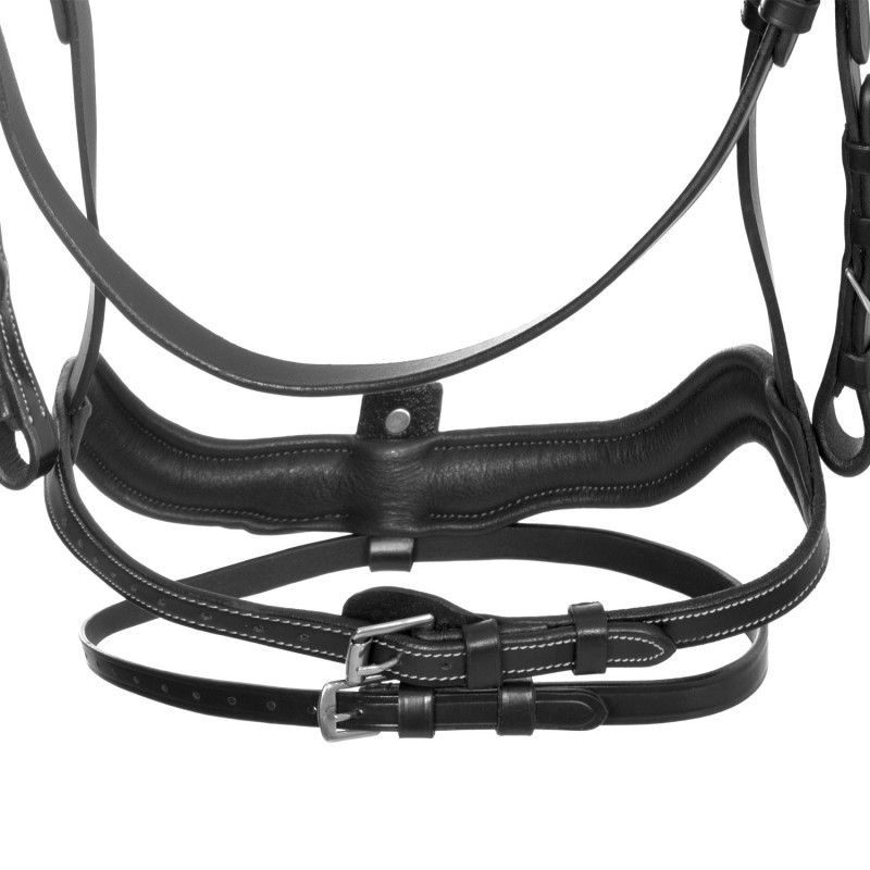 Equestro Anatomical  Black
