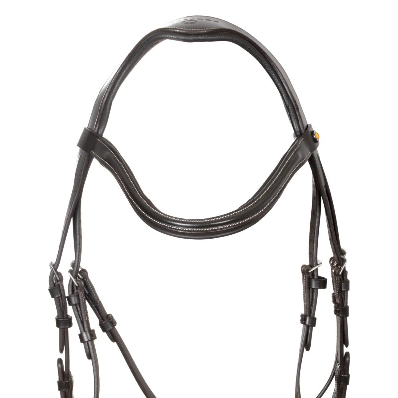 Equestro Anatomical  Brown