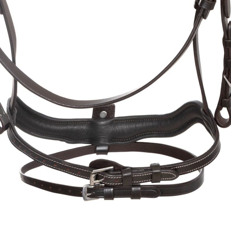 Equestro Anatomical  Brown