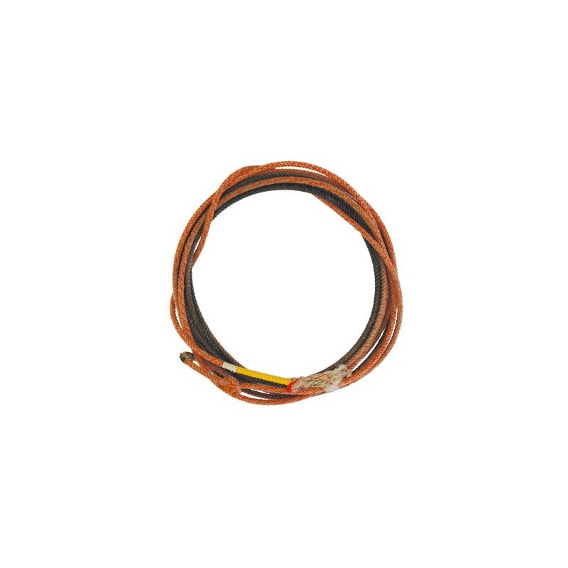 Pool's Professional Used Lasso