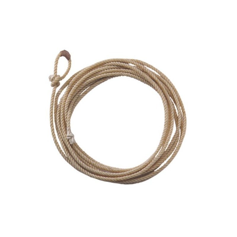 Pool's Classic Lasso